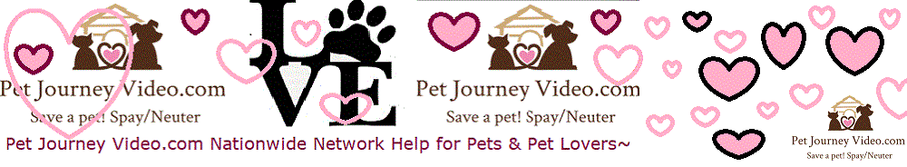 Pet Journey Nationwide Network Help for dog, cats, & horses Adopt a pet